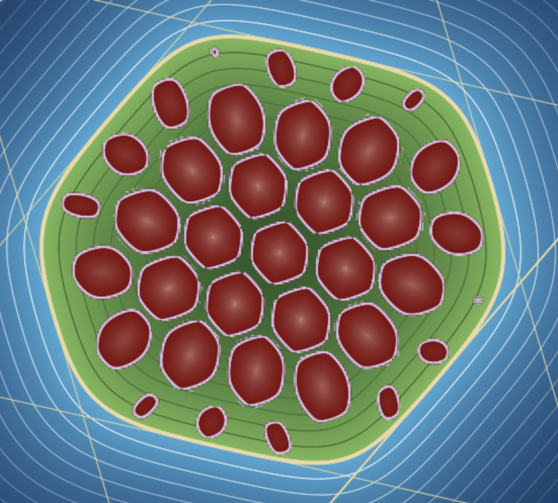 Illustrating the AI proof of the Mahler conjecture